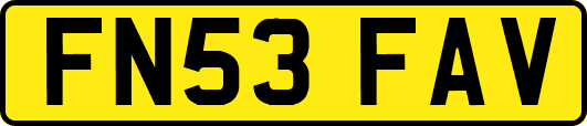 FN53FAV