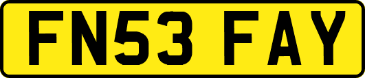 FN53FAY
