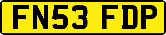 FN53FDP