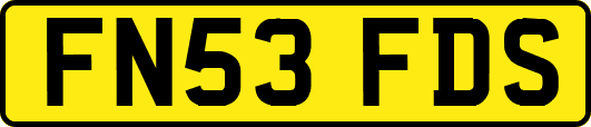 FN53FDS