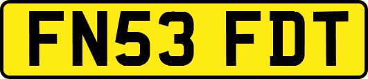 FN53FDT