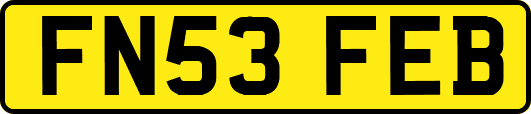FN53FEB