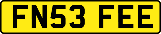 FN53FEE