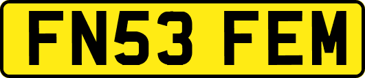 FN53FEM