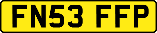 FN53FFP