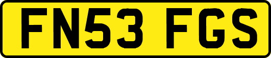 FN53FGS