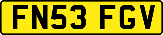 FN53FGV