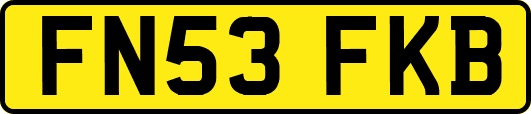 FN53FKB