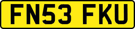 FN53FKU