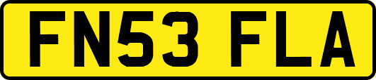 FN53FLA