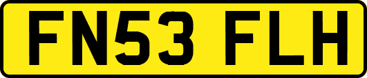 FN53FLH