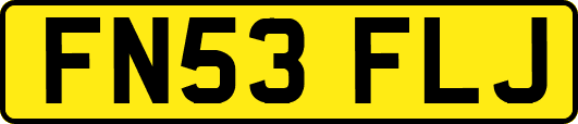 FN53FLJ