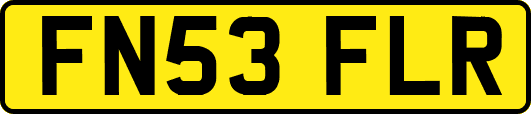 FN53FLR