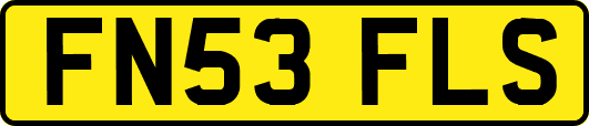 FN53FLS