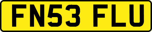 FN53FLU