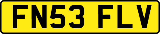 FN53FLV