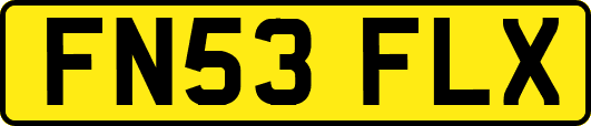 FN53FLX