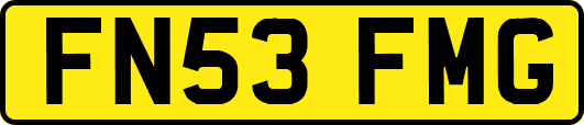 FN53FMG