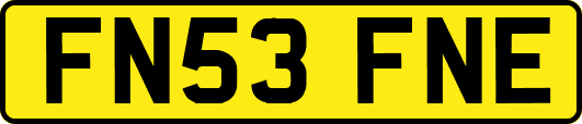 FN53FNE