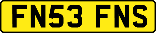 FN53FNS