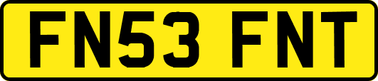 FN53FNT