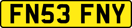 FN53FNY