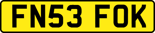 FN53FOK