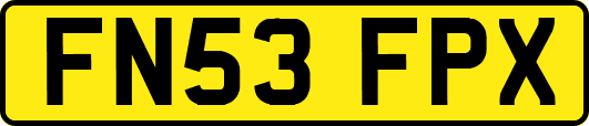 FN53FPX