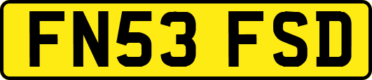 FN53FSD