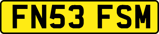 FN53FSM