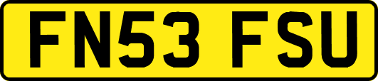 FN53FSU