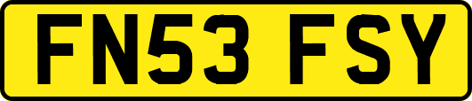 FN53FSY