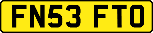 FN53FTO