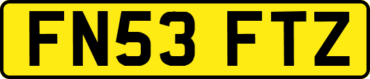 FN53FTZ