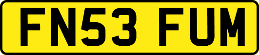 FN53FUM