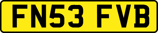 FN53FVB