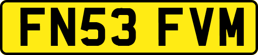 FN53FVM