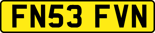 FN53FVN