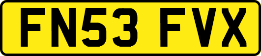 FN53FVX