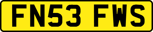 FN53FWS