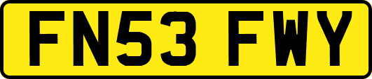 FN53FWY