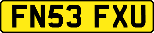 FN53FXU