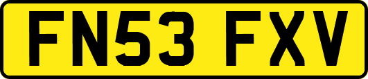 FN53FXV