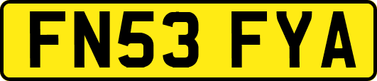 FN53FYA