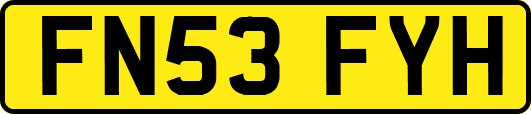 FN53FYH