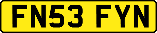 FN53FYN