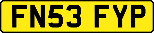 FN53FYP