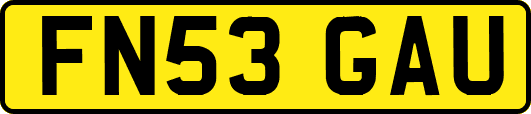FN53GAU