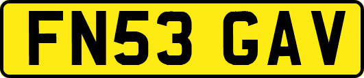 FN53GAV