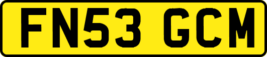 FN53GCM